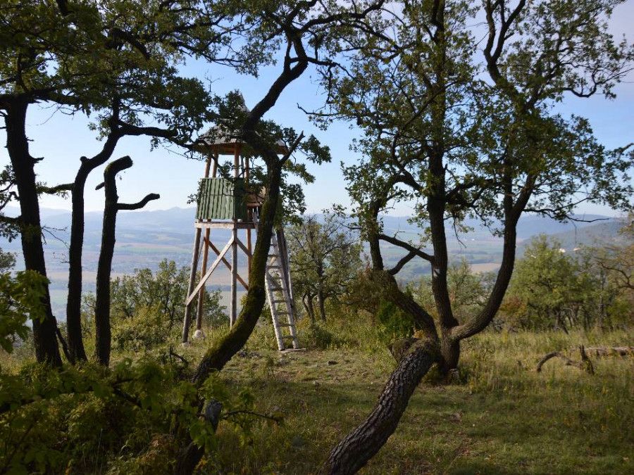 Camp Chalmová — Photo 12 of 12